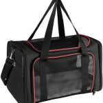 X-ZONE PET Airline Approved Cat Carrier Review